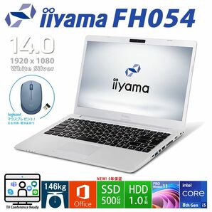 iiyama Style 14FH054 第8世代 i5 メモリ8GB/新品SSD500GB/HDD1TB/フルHD/Office