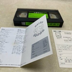 中古VHS 1億人のクラスメイト 伊藤麻衣子 ビデオテープ 39ZM30 YAD444の画像6