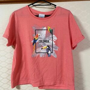 コロンビア　Columbia レディース　Tシャツ　半袖　登山　山登り