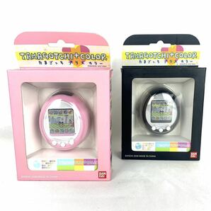 たまごっち プラスカラー ブラック ピンク 2個セット Tamagotchi たまごっちプラスカラー BANDAI バンダイ カラー 未使用 の画像1