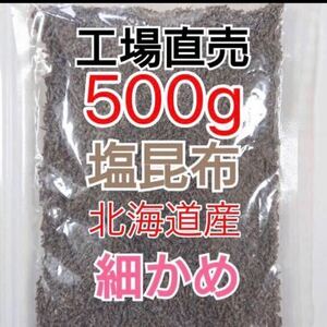 訳あり アウトレット 大容量 500g 北海道産昆布100％ 細かい 塩こんぶ くらこん 工場直売 限定品 刻み塩昆布 お弁当 おにぎり お茶漬け