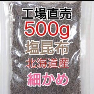 訳あり アウトレット 塩昆布 500g 北海道産昆布100％ 細かい 塩こんぶ くらこん 工場直売 限定品 刻み 塩昆布 お弁当 おにぎり お茶漬け