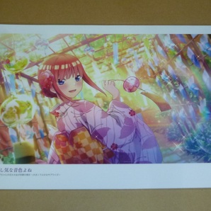 五等分の花嫁 中野二乃◆19◆切抜ラミネート処理品 保護品の画像2