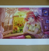 五等分の花嫁　中野二乃◆19◆切抜ラミネート処理品 保護品_画像1