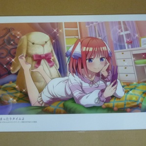 五等分の花嫁 中野二乃◆12◆切抜ラミネート処理品 保護品の画像1