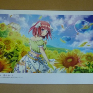 五等分の花嫁 中野二乃◆18◆切抜ラミネート処理品 保護品の画像2