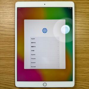 Apple iPad Pro 10.5インチ 256GB シルバー docomo SIMフリー Cellular