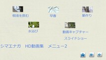 シマエナガ オリジナルHD動画集DVD(AVCHD版）_画像3