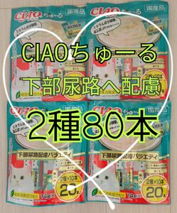 【2種/80本】CIAOちゅ～る下部尿路に配慮　賞味期限2025年6月～