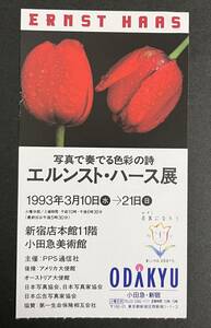 半券　エルンスト・ハース展 写真で奏でる色彩の詩 1993年 小田急美術館