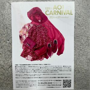 AOICARNIVAL アオイカーニバル　招待状