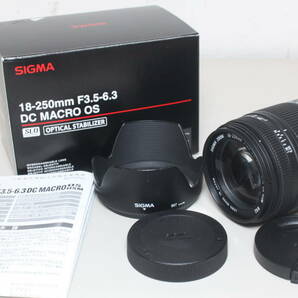SIGMA/18-250mm F3.5-6.3 DC MACRO OS HSM/Canon用/ズームレンズ ⑥の画像1