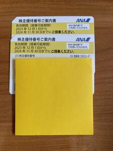 ANA株主割引券2枚 　全日空　有効期限2024年11月30日まで　番号通知のみ送料無料