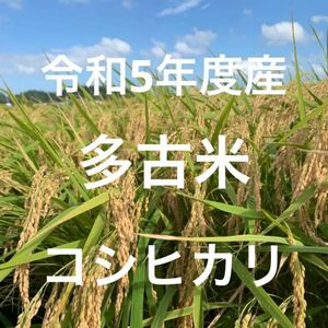 幻の米 多古米 コシヒカリ　玄米　20kg