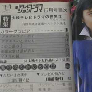 「テレビジョンドラマ」昭和６３年５月号 大映ドラマの世界ＰＡＲＴ３ プロゴルファー祈子 ヤヌスの鏡 アリエスの乙女たち他の画像4