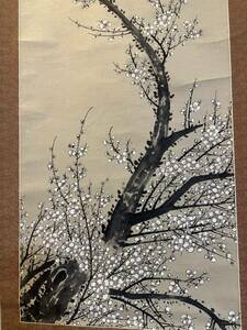 Art hand Auction [정품] Xilai Tamaki Seiki 오래된 족자 (kakejiku) 손으로 그린 종이 일본 화 꽃과 새 그림 중국어 회화 미술 드로잉 코어 크기 약. 127*47cm 상자 없음, 그림, 일본화, 꽃과 새, 야생 동물