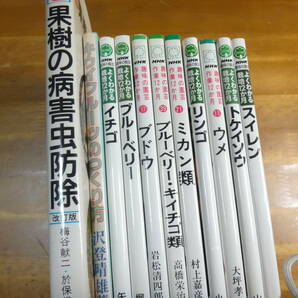 【果樹中心に】NHK趣味の園芸 よくわかる栽培12か月＆作業12か月9冊他合わせて11冊セット◆ミカン:リンゴ:ブドウ:ブルーベリー:イチゴ:ウメの画像2