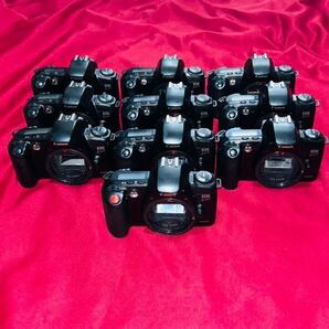 【説明文必読】[動作品] 一眼レフ フィルムカメラ Canon EOS kiss ボディ １０台 大量 まとめ売り お買い得品の画像1