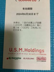 ユナイテッドスーパーマーケット USMH 株主優待券 6000円分 マルエツ カスミ マックスバリュ