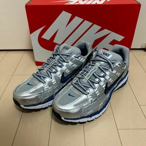 W NIKE P-6000 metalic silver royal 10 シルバー