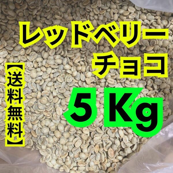 レッドベリーチョコ生豆コーヒー　【5Kg 】【送料無料】