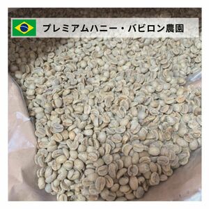 プレミアムハニー生豆コーヒー　【5Kg】送料無料