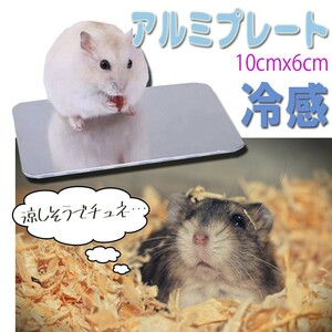 送料無料 小動物用 アルミプレート クールマット（小）ハムスター ハリネズミ 体温調整 6cmx10cm 涼感グッズ クールプレート 暑さ対策