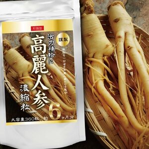 高麗人参濃縮粒　約６ヶ月分(360粒)　　和漢堂　　　送料無