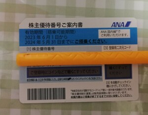 ANA　③　 全日空 株主 番号通知のみ 株主優待　