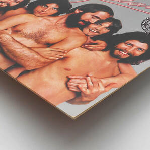 ★良盤 US ORIG 白プロモ LP★ORLEANS/Waking And Dreaming 1976年 AOR名盤 JOHN HALL在籍 『Still The One』最初期 高音質盤 PROMO WLPの画像7