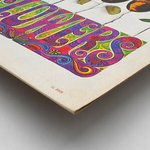 ★US ORIG MONO LP★ROLLING STONES/Flowers 1967年 音圧凄 CS付 米国独自編集盤 『Aftermath』SESSION 未発表曲収録の画像7