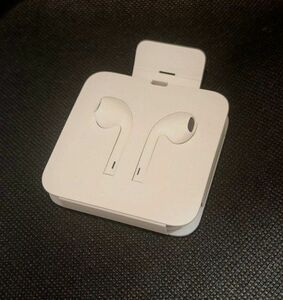 Apple純正イヤホン earpods with lightningconnector iPhone 付属品