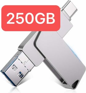 USBメモリ 250GB 容量不足解消 写真保存 iPhone Android Type-C ライトニング iPad