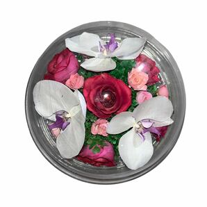 【ギ0402-3】インテリア ドーム型 ブリザードフラワー 薔薇 飾り物 プリザーブドフラワー フラワーアレンジメント インテリアの画像5