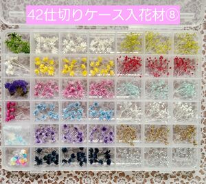 42仕切りケース入り 花材 ハーバリウム ボールペン レジン ハンドメイド 42種 スターフラワー カスミ草 小花 お試しセット