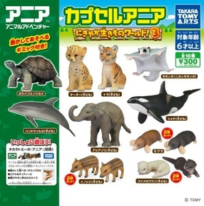 カプセルアニア にぎやか生きものワールド ！ 3 全10種 フィギュア ニホンモモンガ ガラパゴスゾウガメ モグラ コツメカワウソ （子ども）