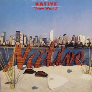 匿名・送料無料! ネイティブ/Native LPレコード 「ニューワールド/New World」