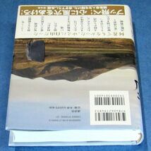 ◆送料込◆ 直木賞受賞『流』東山彰良（初版・元帯）◆（340）_画像4