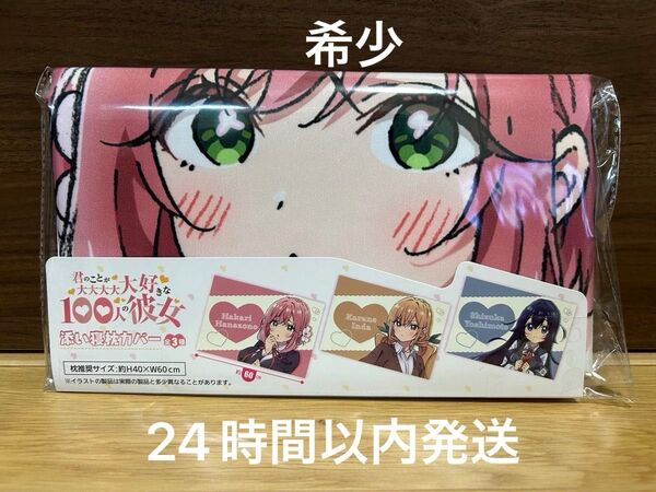 【新品未使用】花園羽香里 君のことが大大大大大好きな100人の彼女添い寝枕カバー