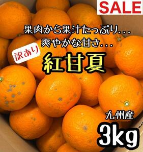 溢れる果汁◎紅甘夏 家庭用 3kg みかん デコポン 好きにもd