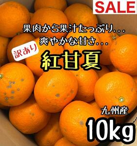 Переполненный сок ◎ Red Sweet Summer Home для дома 10 кг мандаринских апельсинов