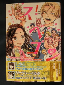 スペコン　１　星野スミ　～年収1000万以上の男しか眼中にない女と20代美女しか興味ない男～