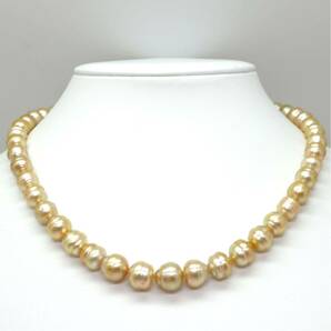 ◆ゴールデンパールネックレス/ 17 ◆A 約50.0g 約44.0cm 8.0-10.5mm珠 pearl パール jewelry necklace ジュエリー EB0/EB0の画像2