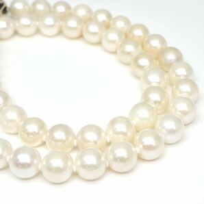 ◆アコヤ本真珠ネックレス/ 7 ◆A 約42.1g 約43.0cm 8.0-8.5mm珠 pearl パール jewelry necklace ジュエリー CE0/DE0の画像5