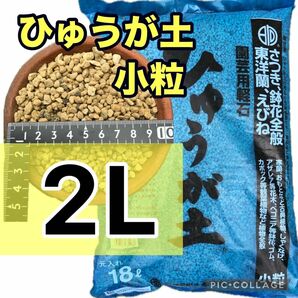 【SALE】ひゅうが土　小粒2リットル