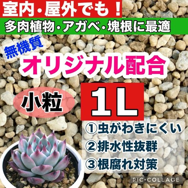 【SALE】多肉植物　アガベ・塊根植物の土　1リットル