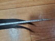 髪束 約37cm 約60g 髪の毛 人毛 ヘアドネーション 日本人 髪 ウィッグ ヘアエクステンション 送料込 匿名配送_画像5