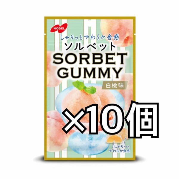 ソルベット　10個　10袋