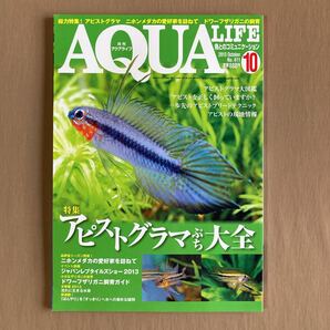 月刊 AQUA LIFE アクアライフ 2013年10月号 No.411★アピストグラマ ぷち 大全★ドワーフザリガニ飼育ガイド★メダカ愛好家訪問