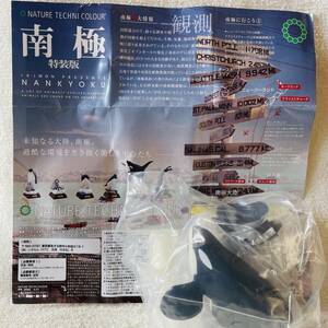 送料200円～★南極 特装版 シャチ★NATURE TECHNI COLOUR The South Pole ネイチャーテクニカラー 動物 アニマル マスコット フィギュア